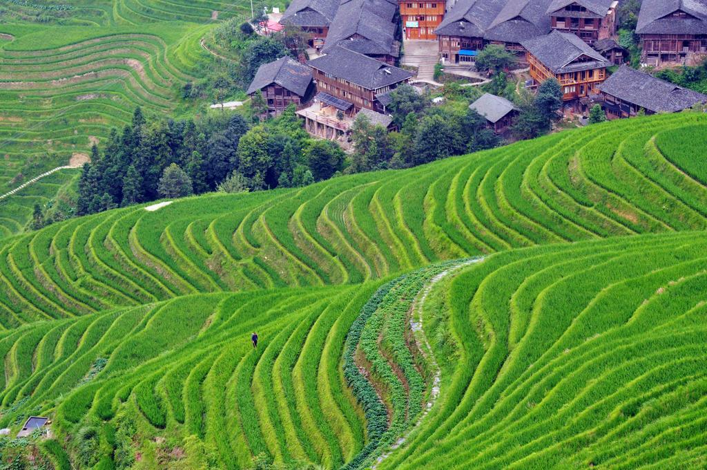 Longji Rice Terraces Tian Ranju Inn Longsheng Bagian luar foto