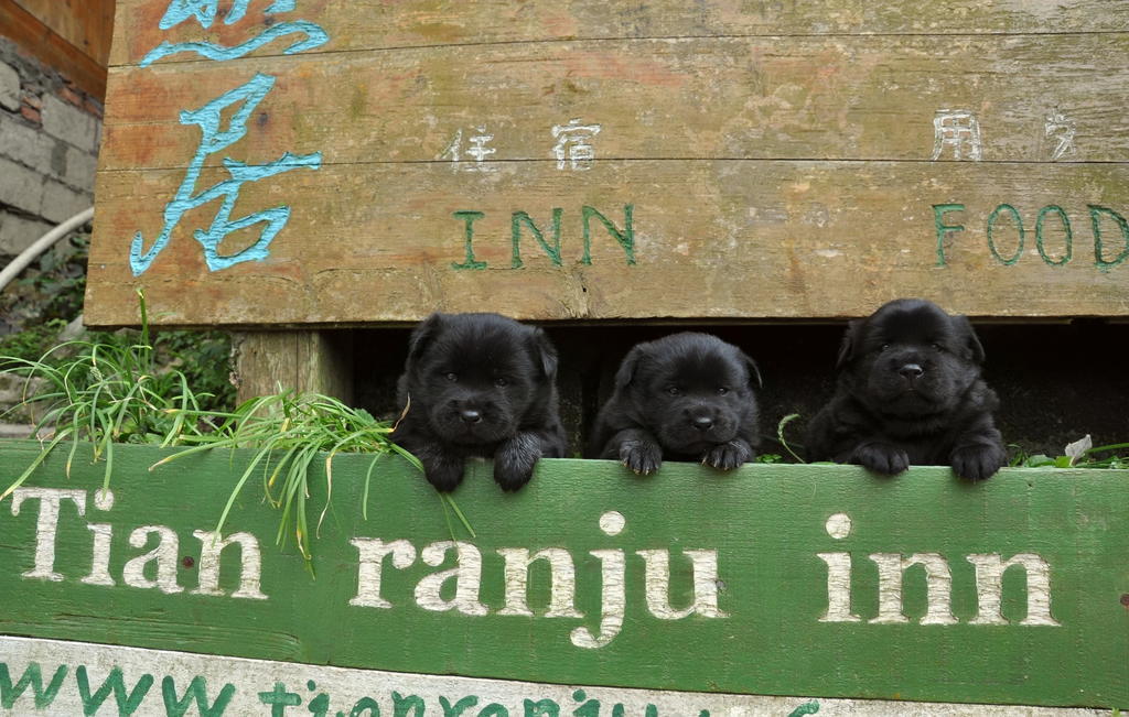 Longji Rice Terraces Tian Ranju Inn Longsheng Bagian luar foto